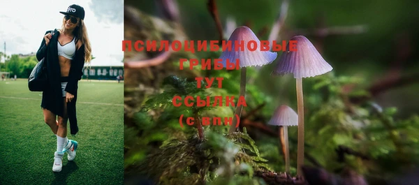 дмт Аркадак