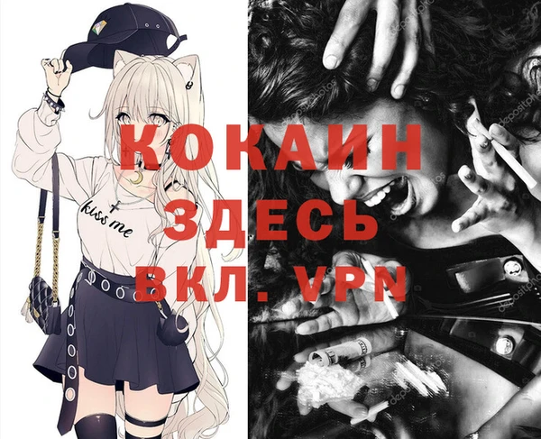 дмт Аркадак