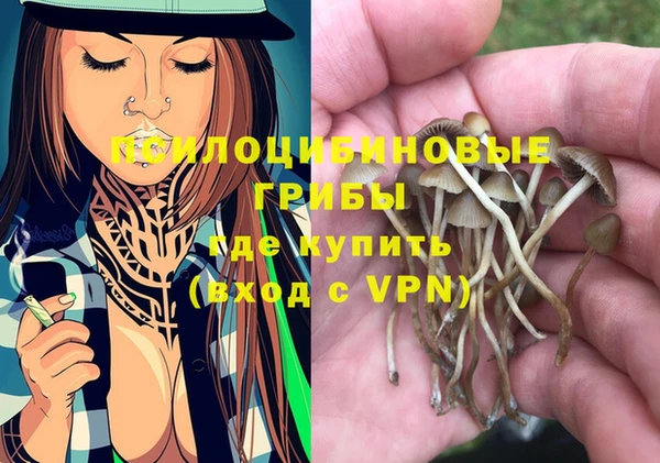 дмт Аркадак